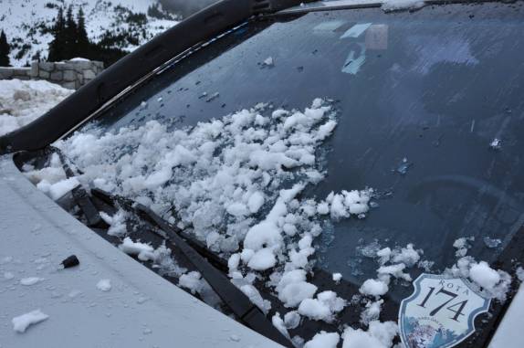 Fiona, após ser bombardeada de neve no Mount Rainier National Park, no estado de Washington, oeste dos Estados Unidos